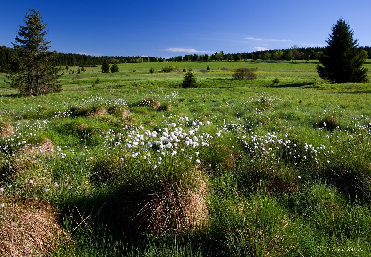 Nebespan Kasperske Hory Bagian luar foto